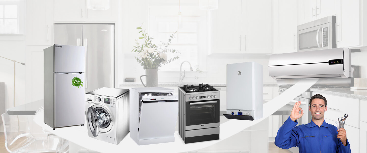 Pamukkale Electrolux Servisi